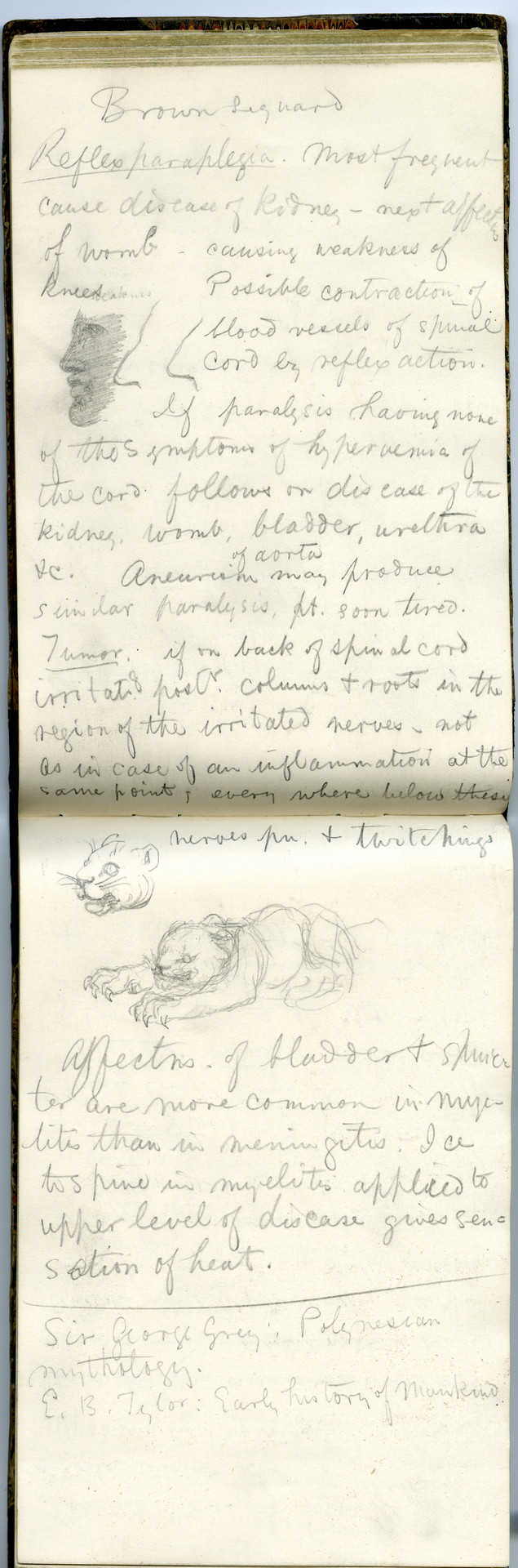 William James' notes on the lectures of Charles Edouard Brown-Séquard on writer’s palsy, reflex paraplegia, and other diseases of the nervous system