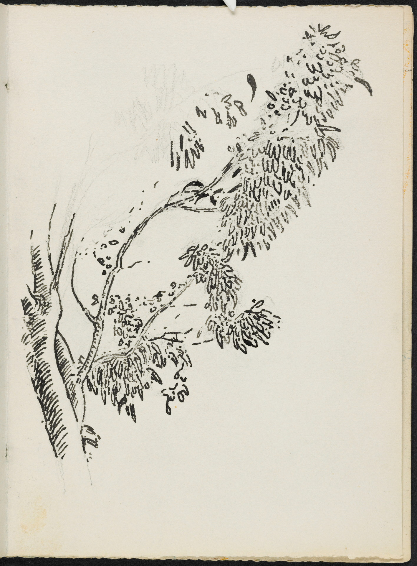 Sketchbook 11