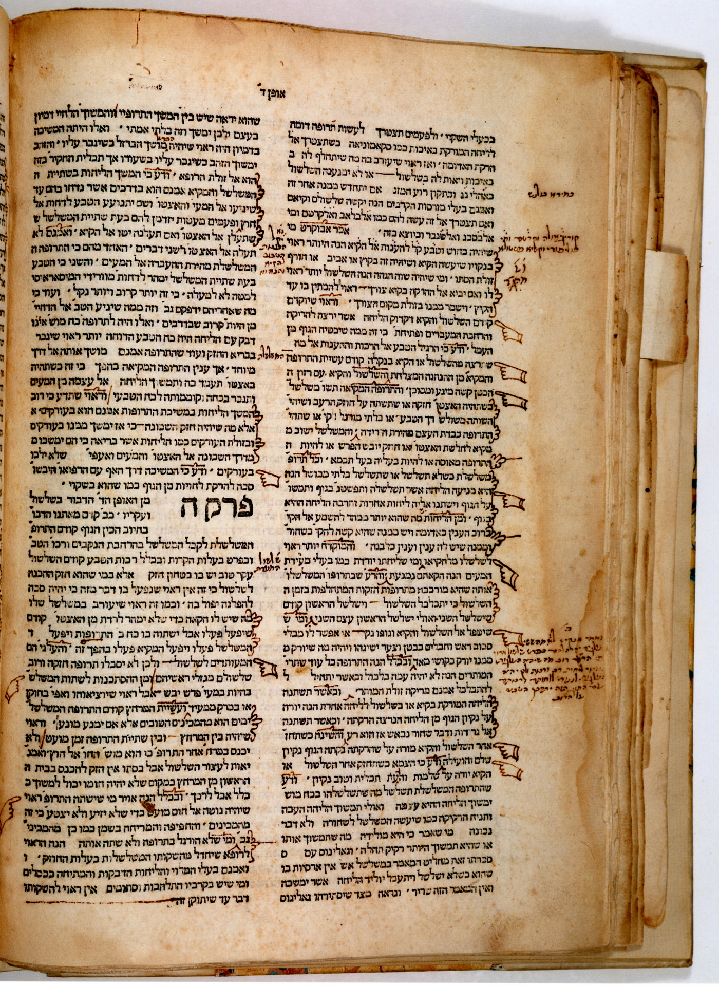 Canon medicinae, 1463 Naples, Italy