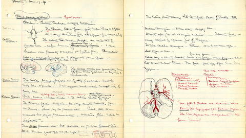 Harvey Cushing, Notes on a 19th-century anatomy lecture 1891 Harvard Medical School