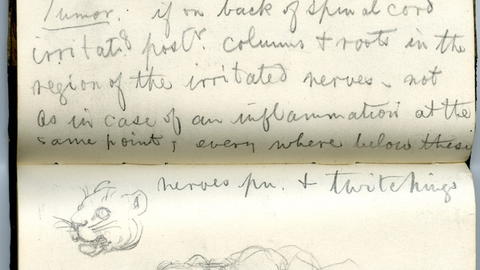 William James' notes on the lectures of Charles Edouard Brown-Séquard on writer’s palsy, reflex paraplegia, and other diseases of the nervous system