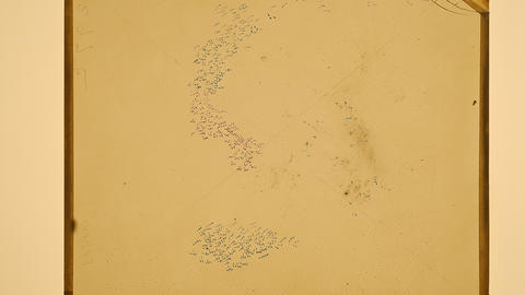Telescopic image of the Large Magellanic Cloud, produced on a photographic plate by Harvard Observatory, Arequipa, Peru, January 24, 1897