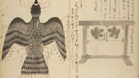 Falcon 1