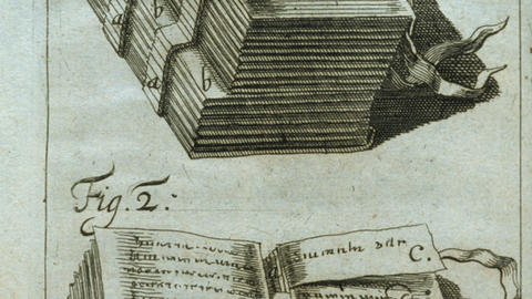 placcius 1