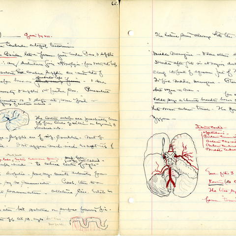 Harvey Cushing, Notes on a 19th-century anatomy lecture 1891 Harvard Medical School