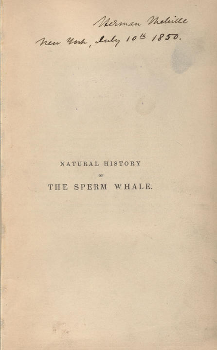 Beale, Thomas. The natural history of the sperm whale