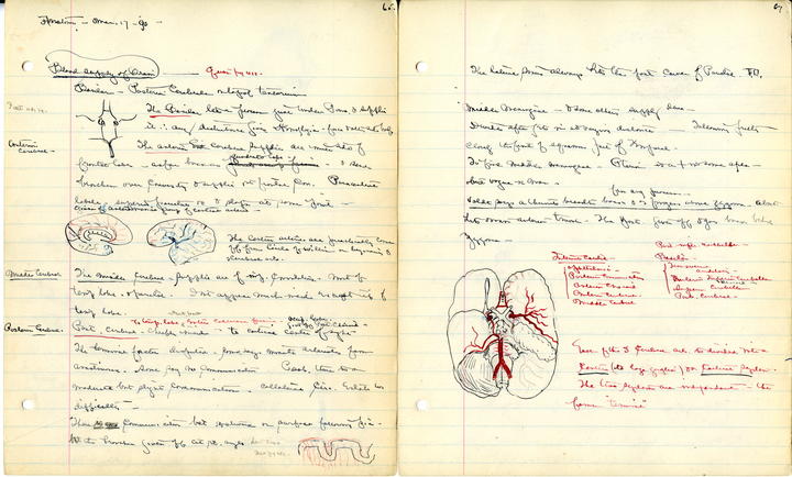 Harvey Cushing, Notes on a 19th-century anatomy lecture 1891 Harvard Medical School