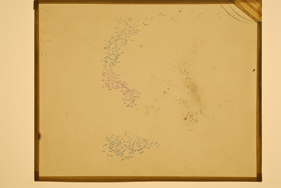 Telescopic image of the Large Magellanic Cloud, produced on a photographic plate by Harvard Observatory, Arequipa, Peru, January 24, 1897