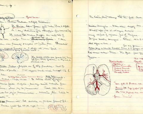 Harvey Cushing, Notes on a 19th-century anatomy lecture 1891 Harvard Medical School