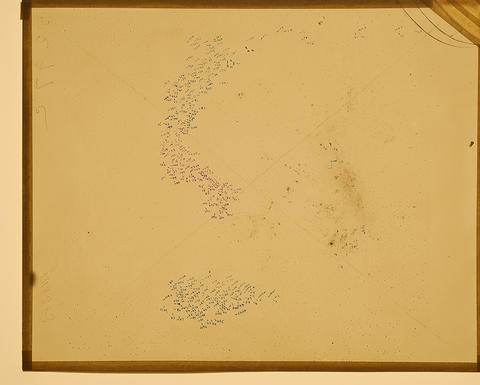 Telescopic image of the Large Magellanic Cloud, produced on a photographic plate by Harvard Observatory, Arequipa, Peru, January 24, 1897